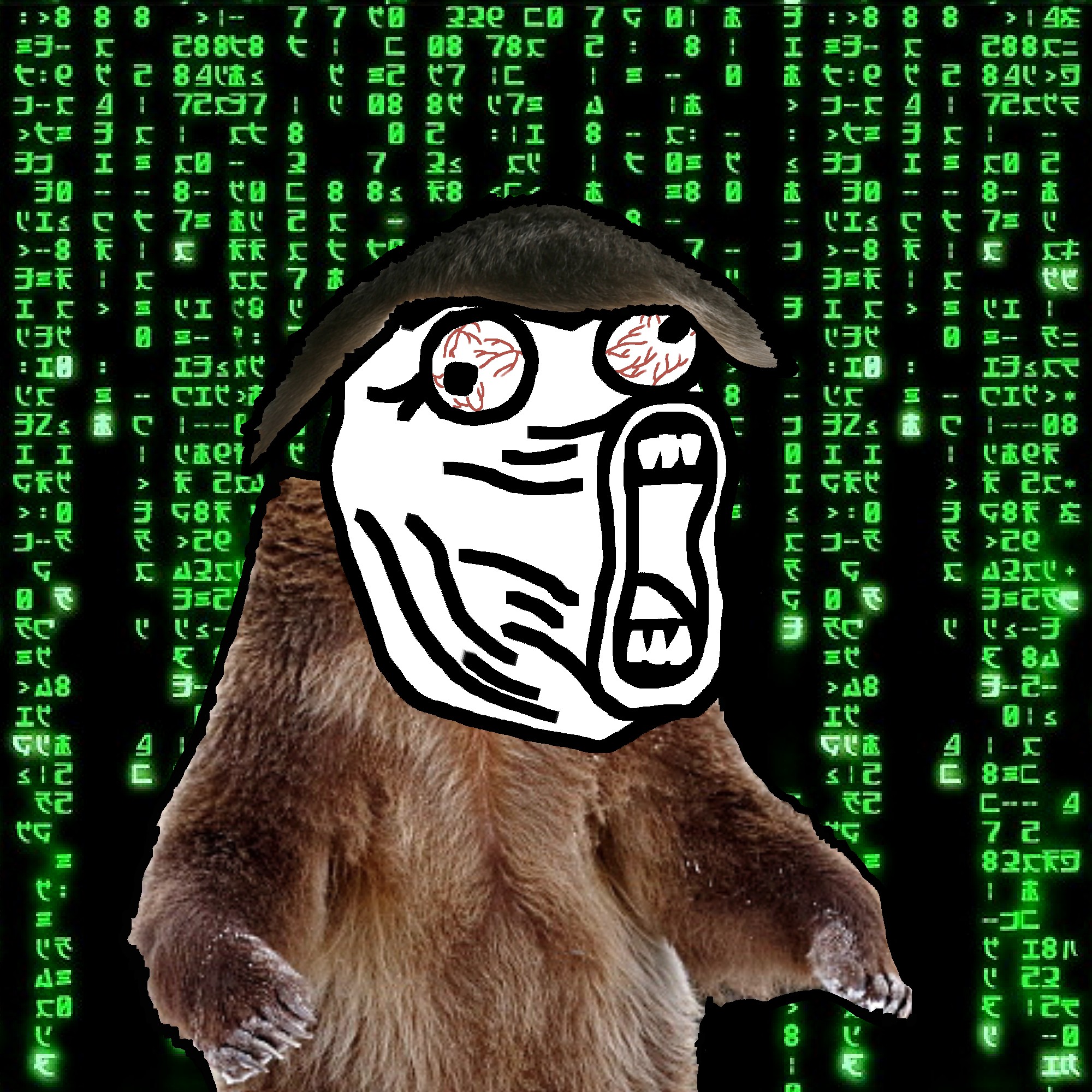 HOODCHAN #467